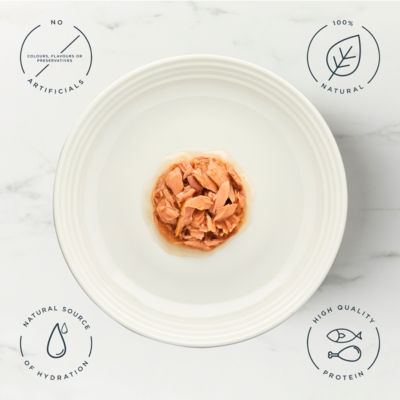 Encore Fish Selection in Gravy wet cat food pouches 5 x 50g - British product
