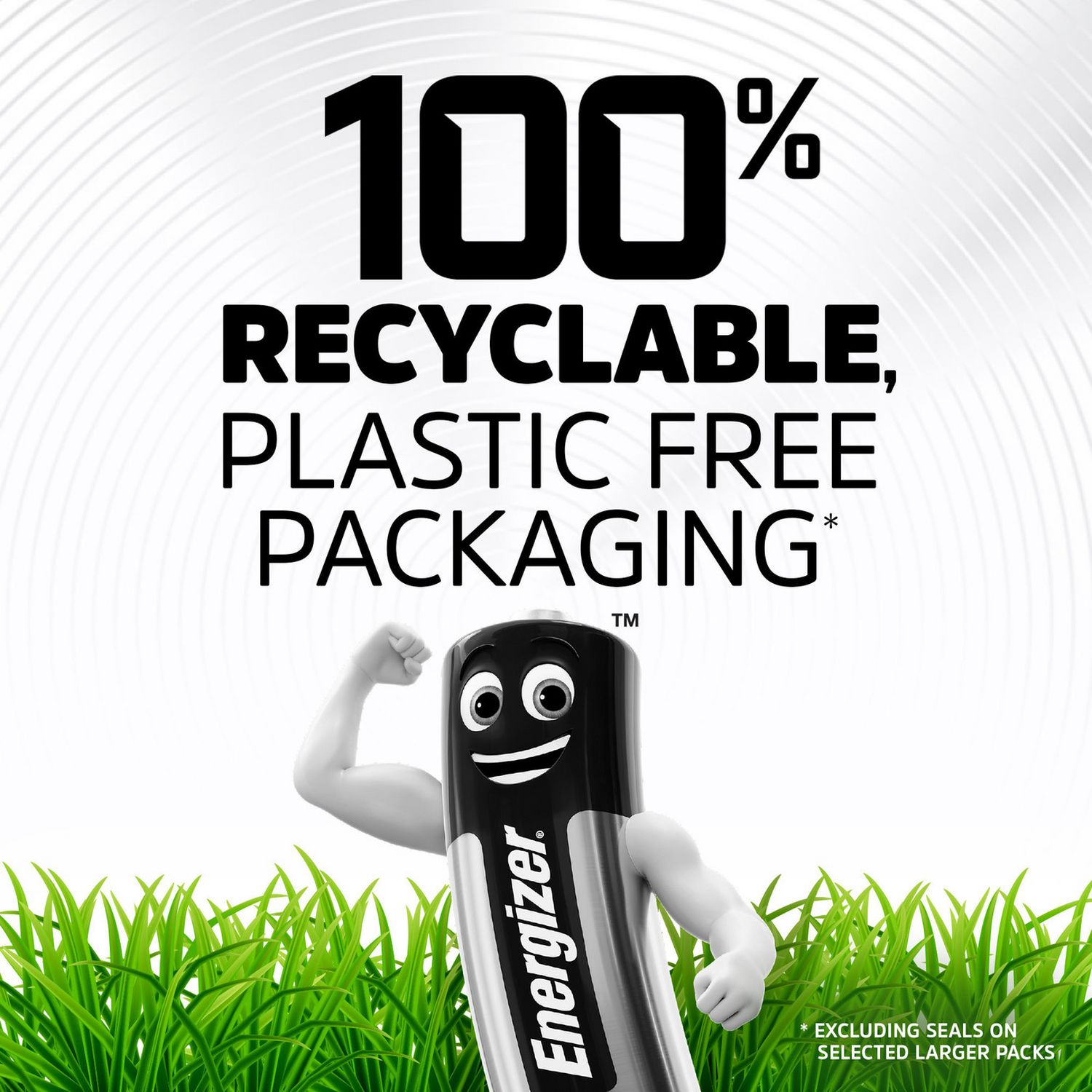 Energizer Alkaline Power AAA batteries pack of 24, UK version