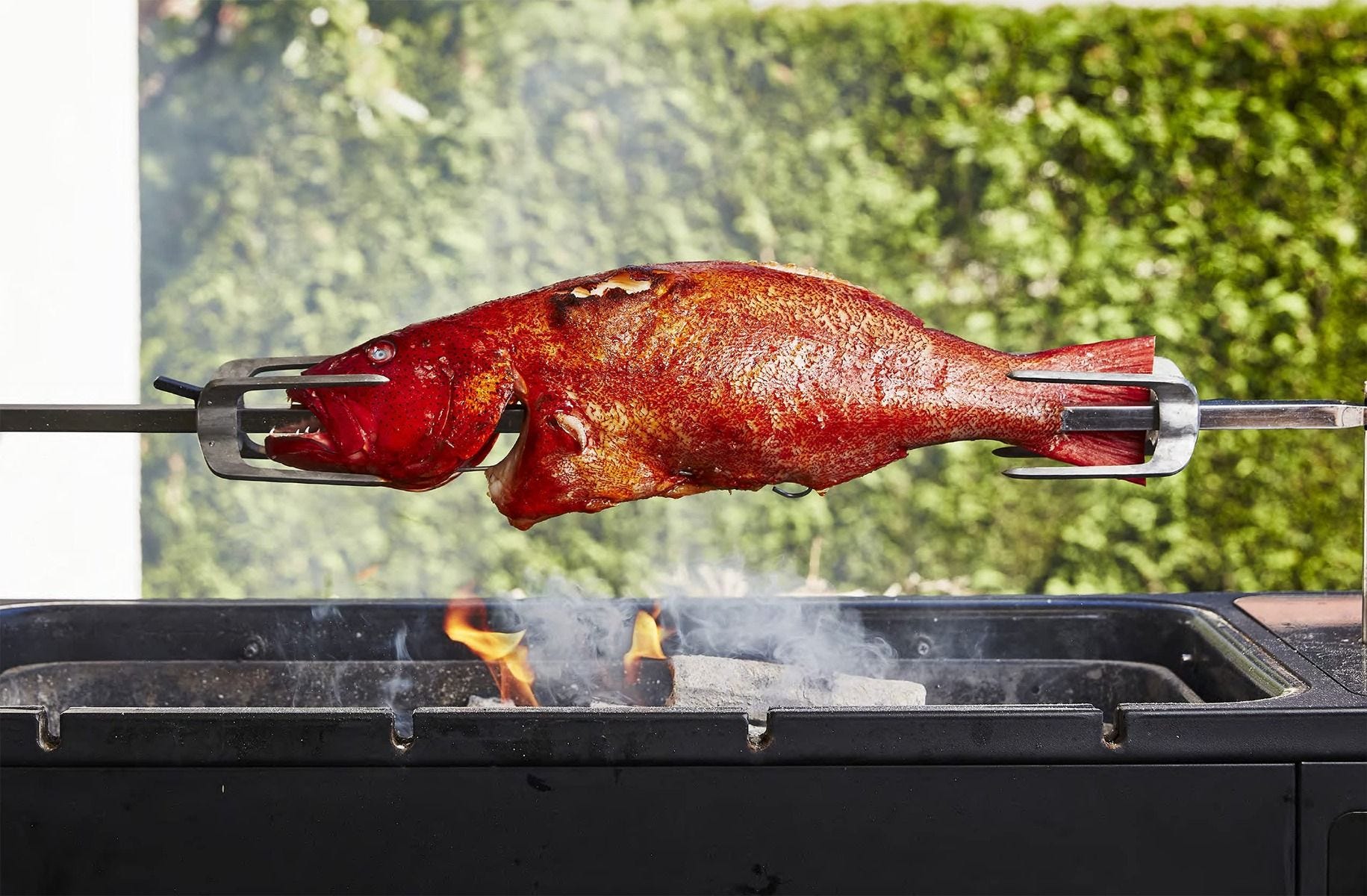 Cookbook Take One Fish by Josh Niland, UK version