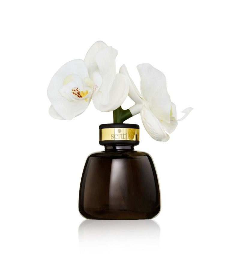 Senti Little Orchid diffuser white flowers 100ml, UK version