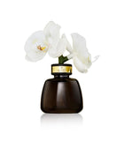 Senti Little Orchid diffuser white flowers 100ml, UK version