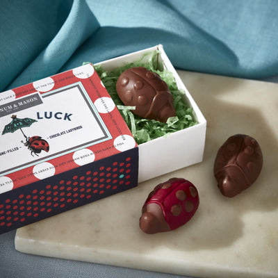 fortnum Lady Luck Milk Chocolate Ladybird Matchbox 33g- Buy online at McGrocer