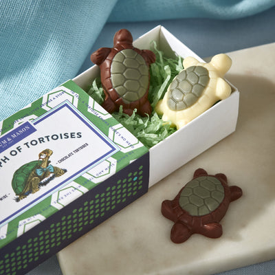 fortnum A Triumph of Chocolate Tortoises Matchbox 25g- Buy online at McGrocer