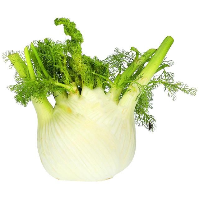 M&S Fennel