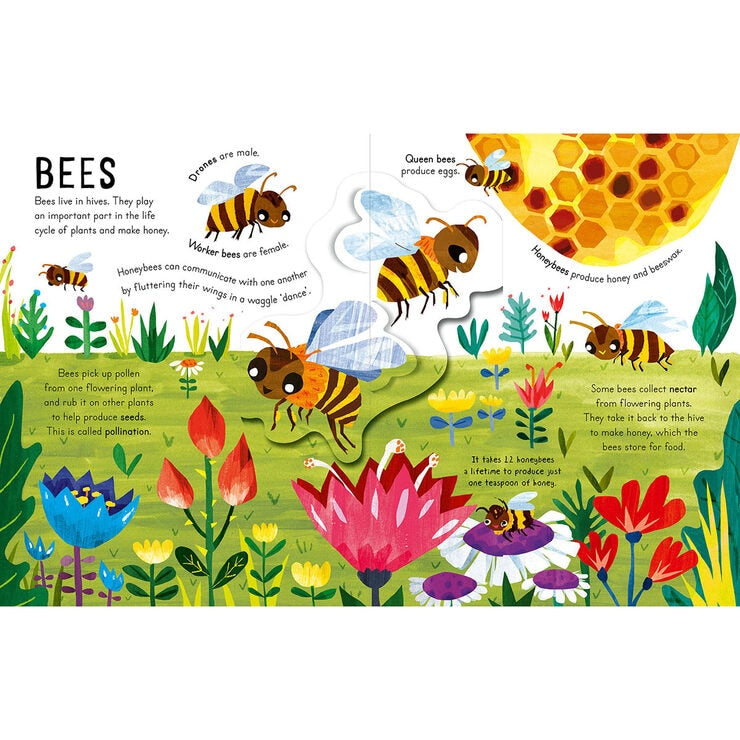 Curious Kids pop-up book with mini beasts and sea creatures (British brand)