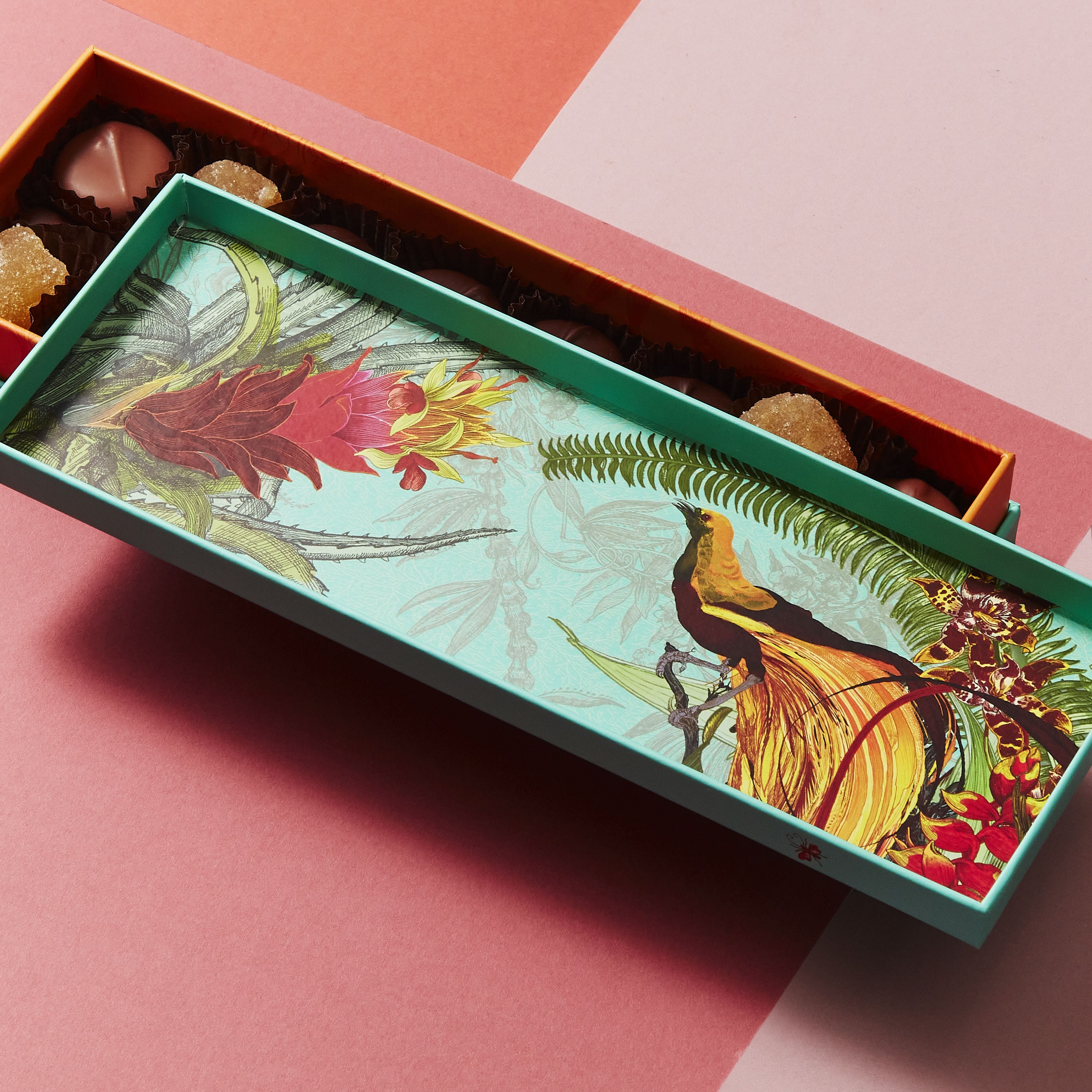 Fortnum's chocolate ginger selection 230g - British product