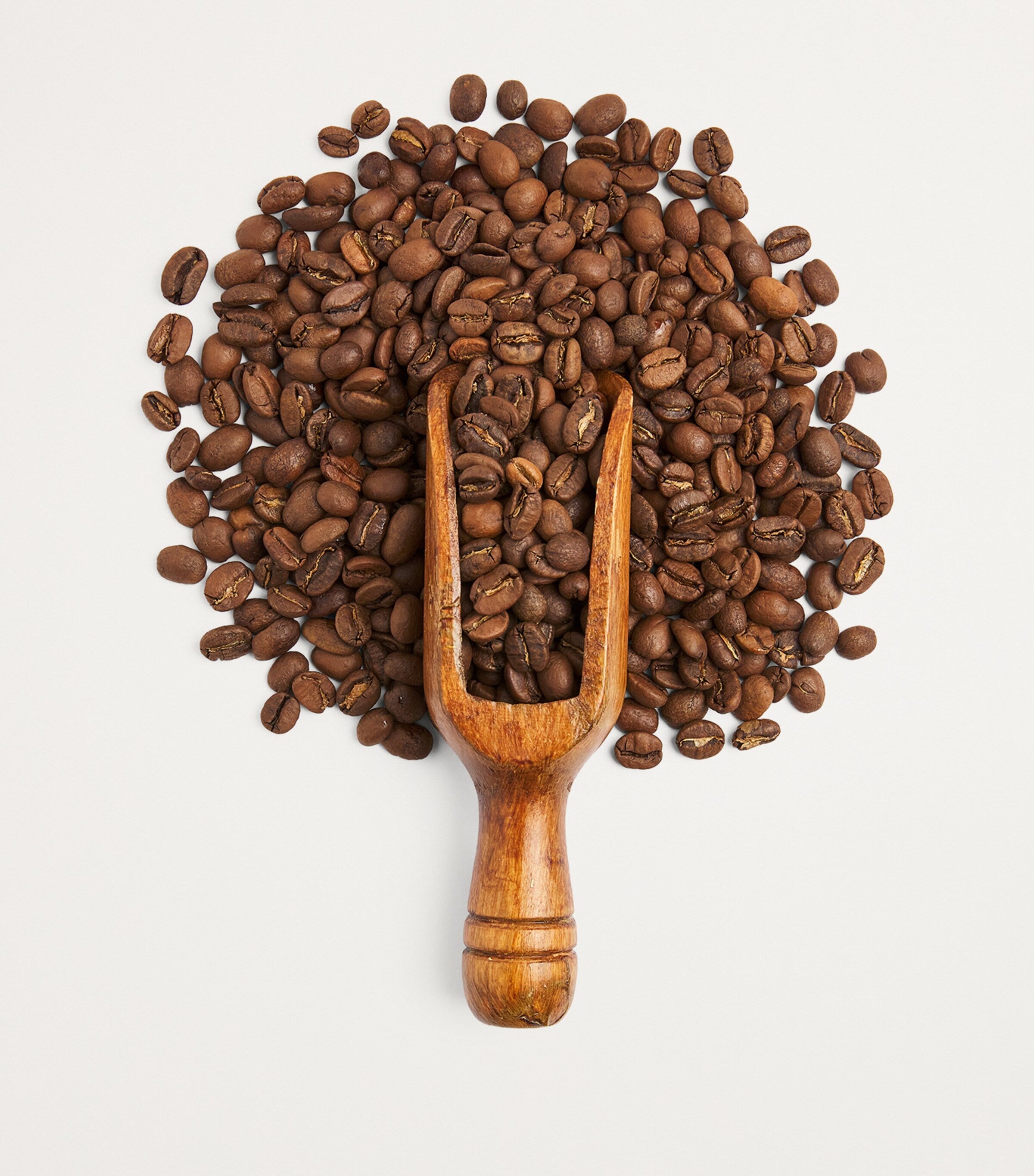 Harrods Colombia Popayan Reserve coffee beans 250g, UK version
