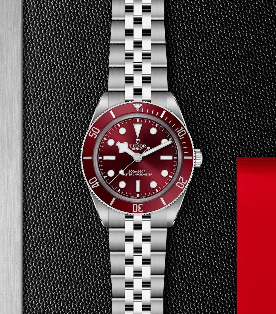 TUDOR Black Bay 58 watch 39mm (British brand)