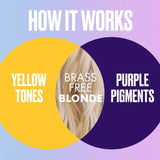 Aussie Blonde Hydration Purple Shampoo with Hemp for Blonde and Silver Hair   290ml GOODS M&S   