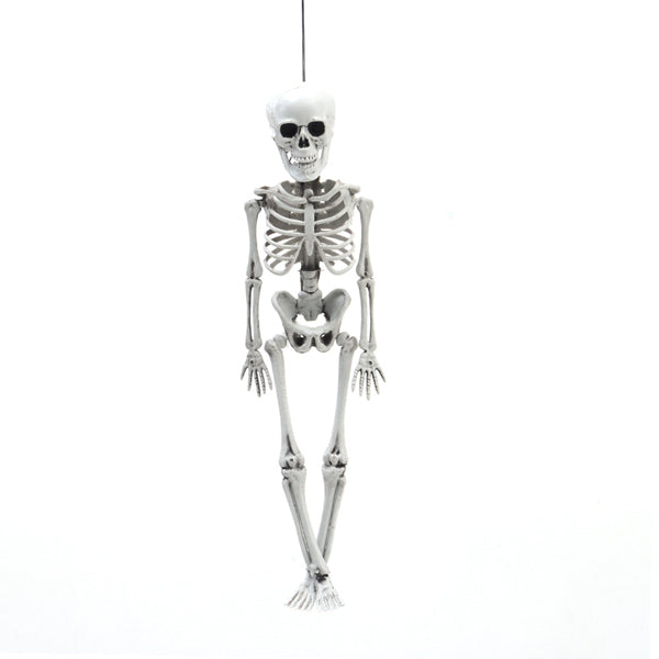 Livingandhome posable hanging skeleton 40cm, UK version