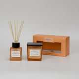 French Connection Apricot Peach diffuser candle set 100ml 220g, UK version