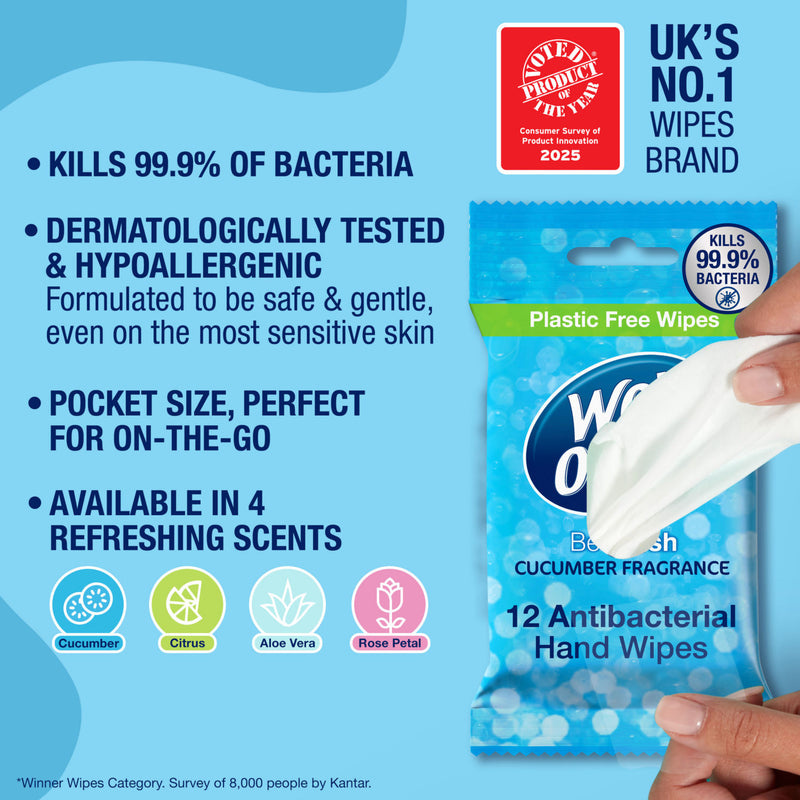 Wet Ones Be Fresh antibacterial hand wipes pack of 12 (British brand)