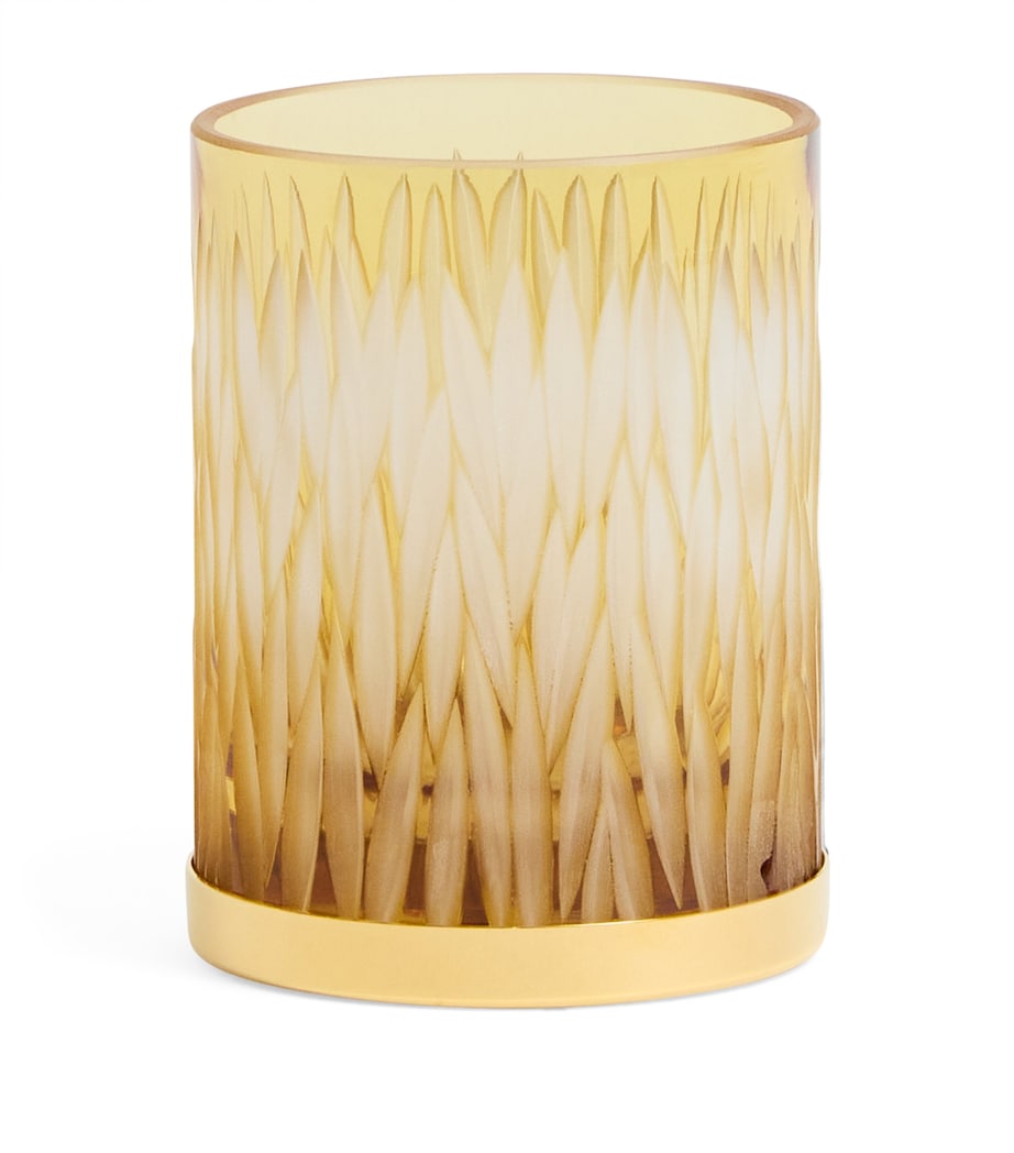 Zodiac crystal amber tumbler 250ml - British product