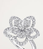 Graff white gold diamond Wild Flower ring (British brand)