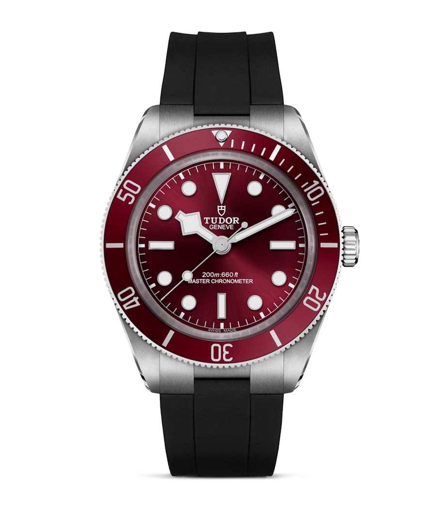 TUDOR Black Bay 58 diver's watch 39mm (British brand)