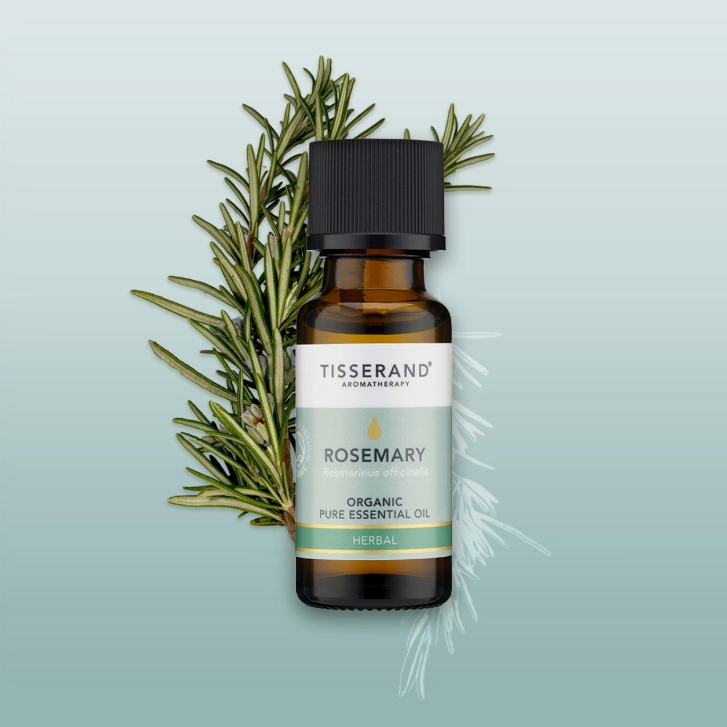 Rosemary Organic Essential Oil, imported from the UK