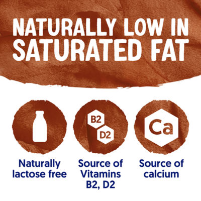 Alpro Chocolate Soya Plant-Based Chilled Drink