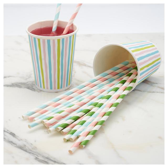 Duni Bio Pastel Recyclable Paper Straws   25 per pack GOODS M&S   