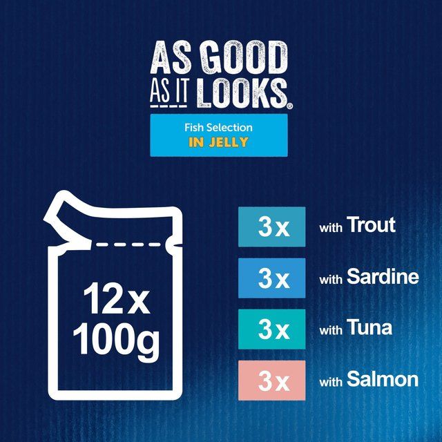 Felix As Good As it Looks Senior 7+ Fish in Jelly Wet Cat Food   12 x 100g GOODS M&S   