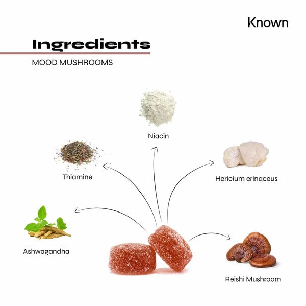 Known Nutrition mood mushroom gummies, imported from the UK