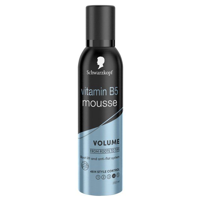 Schwarzkopf Styling Volume Lift Mousse GOODS M&S   