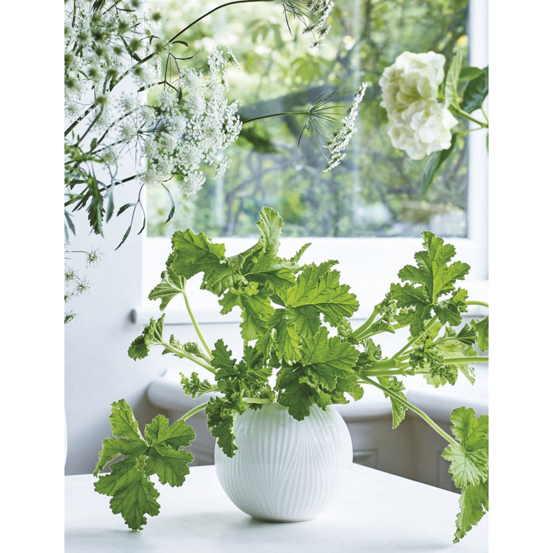 Wedgwood White Folia bulb vase 23cm - British product