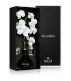 Senti Orchid Diffuser Pepper & Spice 250ml (British brand)