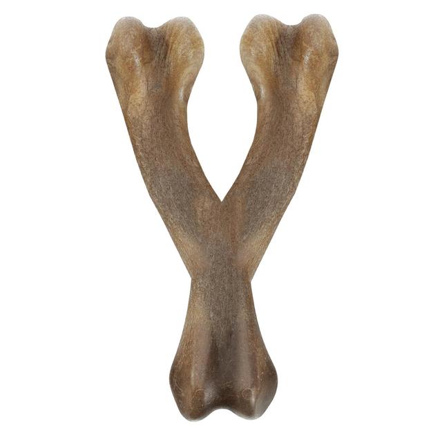 Zeus Nosh Strong Chew Bone Bacon Flavour Wishbone Large Dog Toy