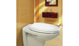 Bemis Ultra-Fix white toilet seat (British brand)