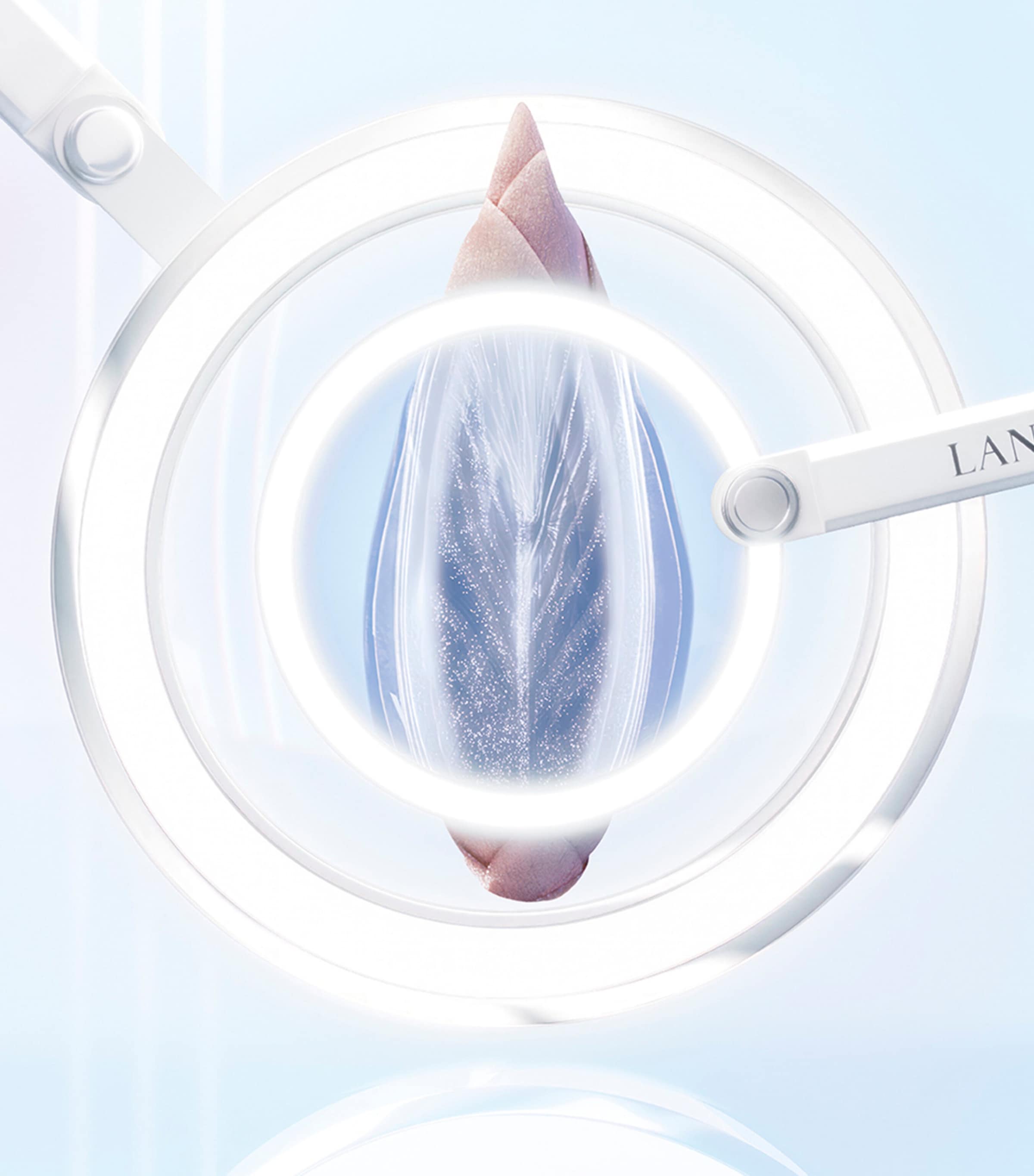 Lancôme Clarifique Brightening Plumping Milky Cream 50ml, UK version
