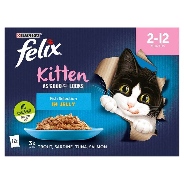 Felix As Good As it Looks Kitten Fish in Jelly Wet Cat Food   12 x 100g GOODS M&S   