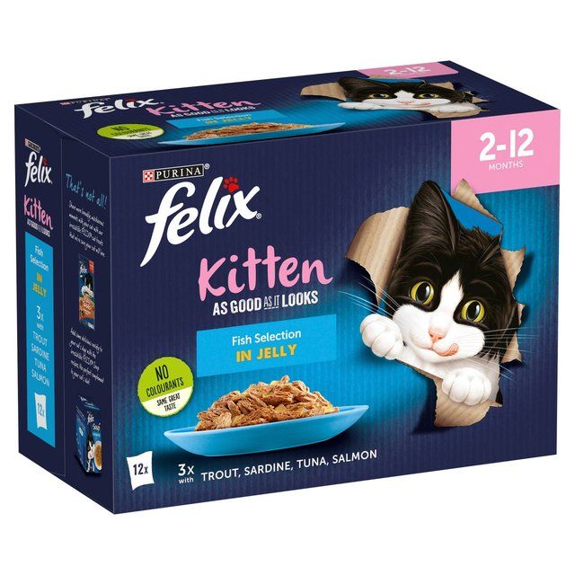 Felix As Good As it Looks Kitten Fish in Jelly Wet Cat Food   12 x 100g GOODS M&S   