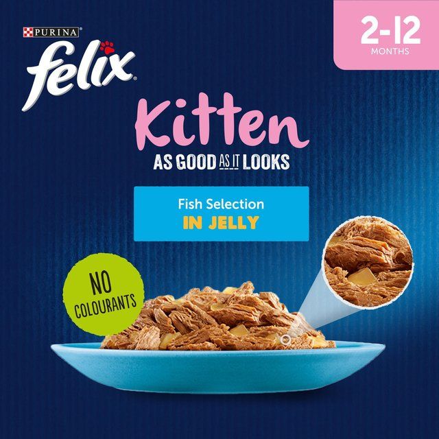 Felix As Good As it Looks Kitten Fish in Jelly Wet Cat Food   12 x 100g GOODS M&S   