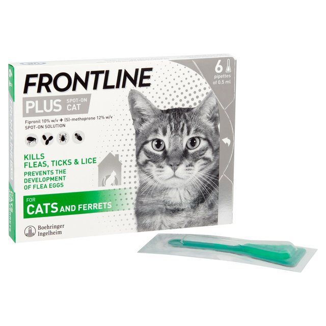 FRONTLINE Plus Flea & Tick Treatment Cat   6 per pack