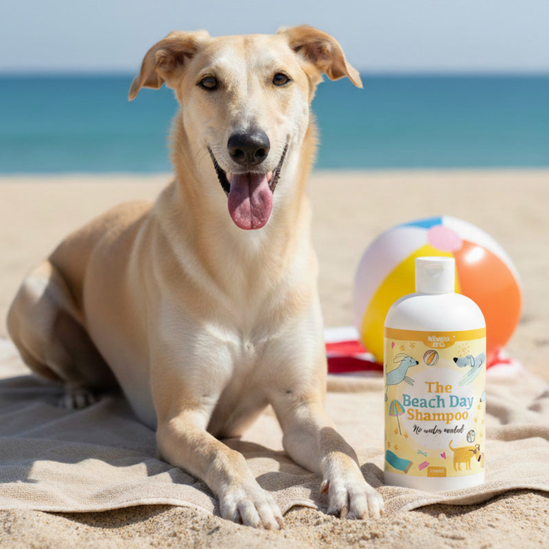 Beach Day Towel Off pet shampoo 500ml - British product