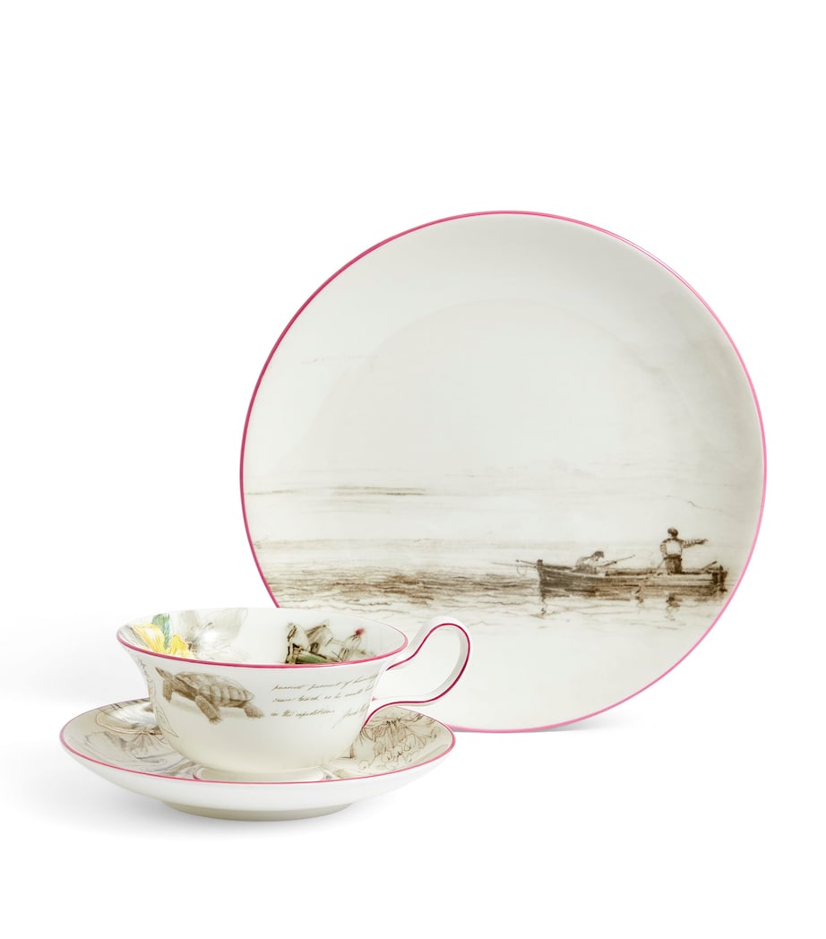 Wedgwood Voyage of the Beagle Galapagos Islands plate, teacup and saucer set (British brand)