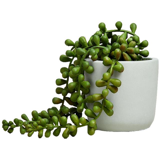 M&S Artificial Mini String of Pearls in Pot Green