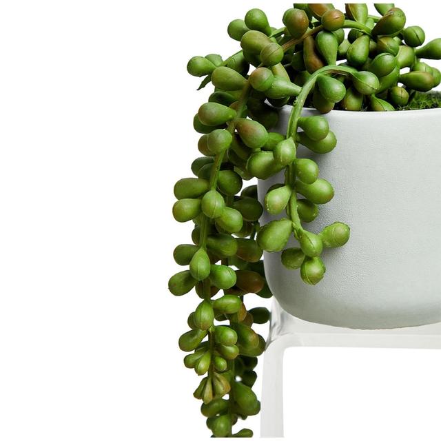 M&S Artificial Mini String of Pearls in Pot Green GOODS M&S   