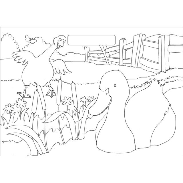 IglooBooks - Farmyard Colouring Pad GOODS M&S   