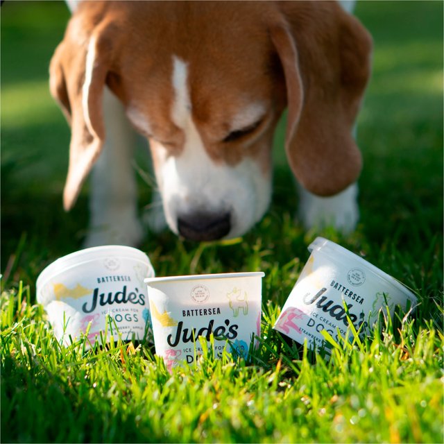 Jude's Ice Cream for Dogs   90ml GOODS M&S   