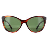 Ralph Lauren RL8186 brown women sunglasses (British brand)
