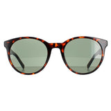 Guess GU00023 round sunglasses Dark Havana Green, UK version