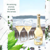 Perrier Jouet Blanc de Blanc   75cl GOODS M&S   