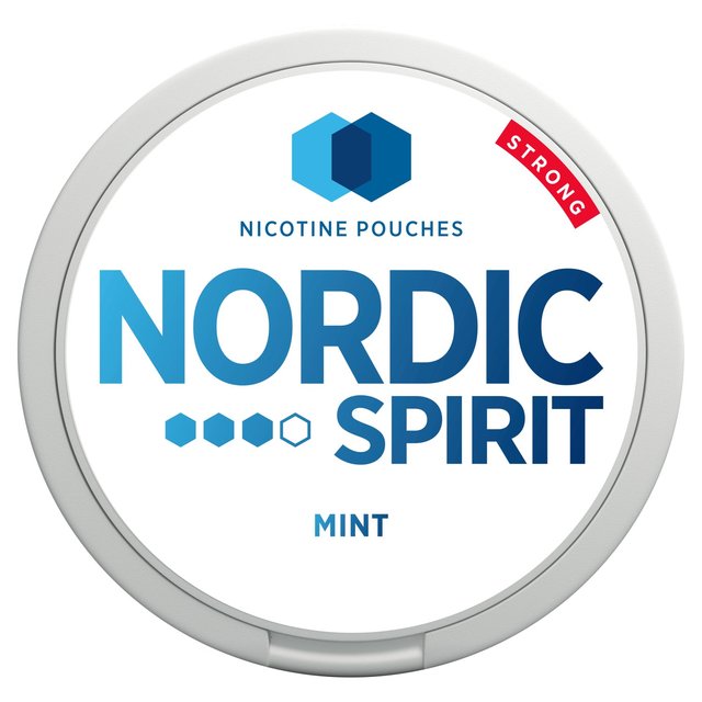 Nordic Spirit Mint Strong   20 per pack GOODS M&S   