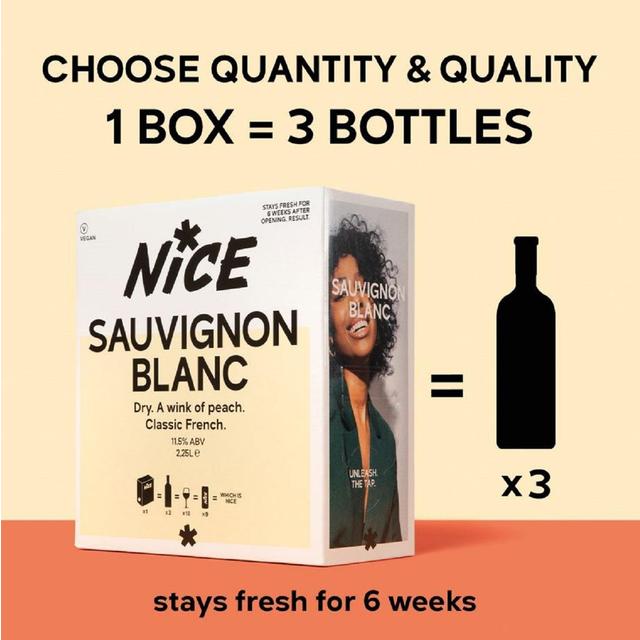 Nice French Sauvignon Blanc Bag in Box   2.25L GOODS M&S   