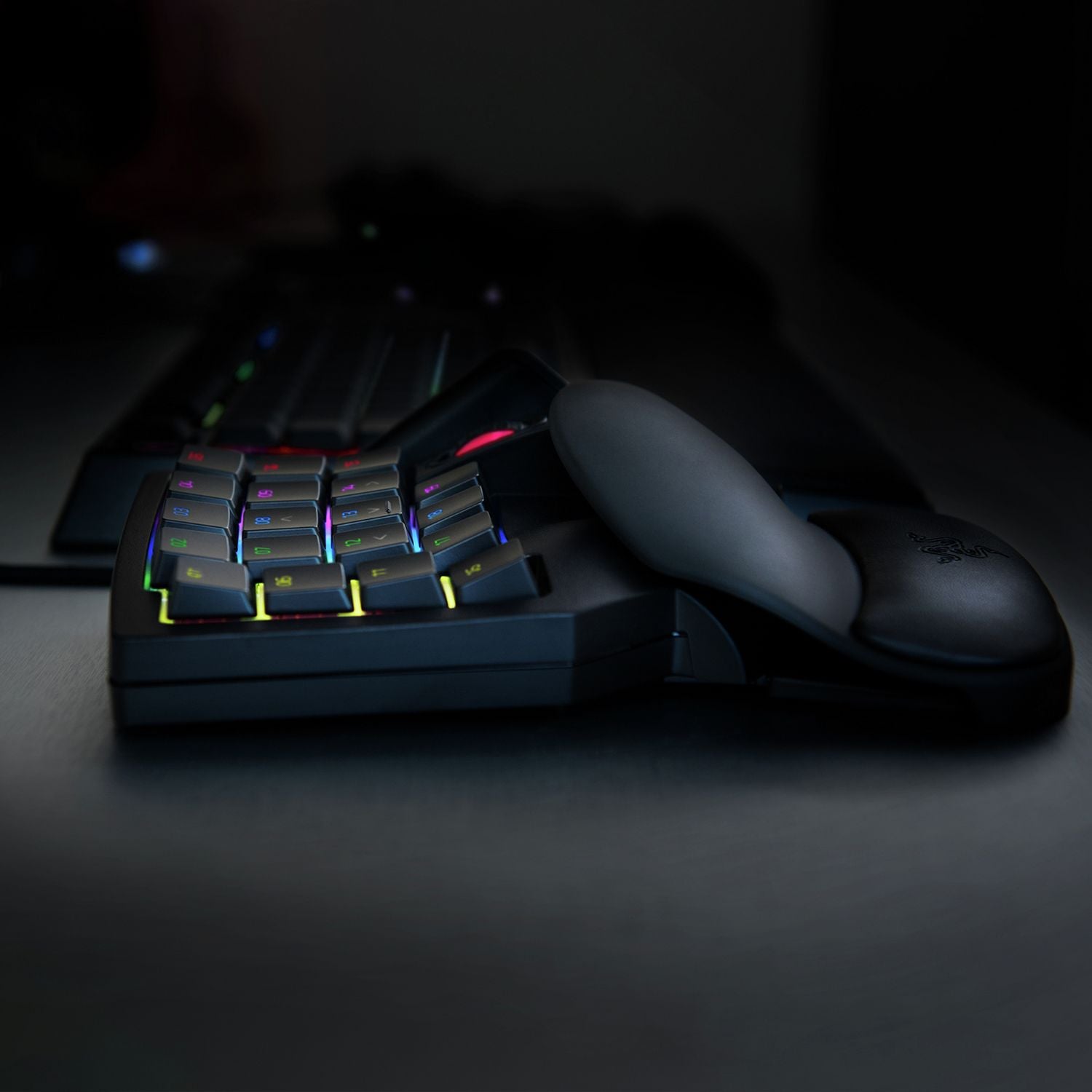 Razer Tartarus V2 gaming keypad black (British brand)