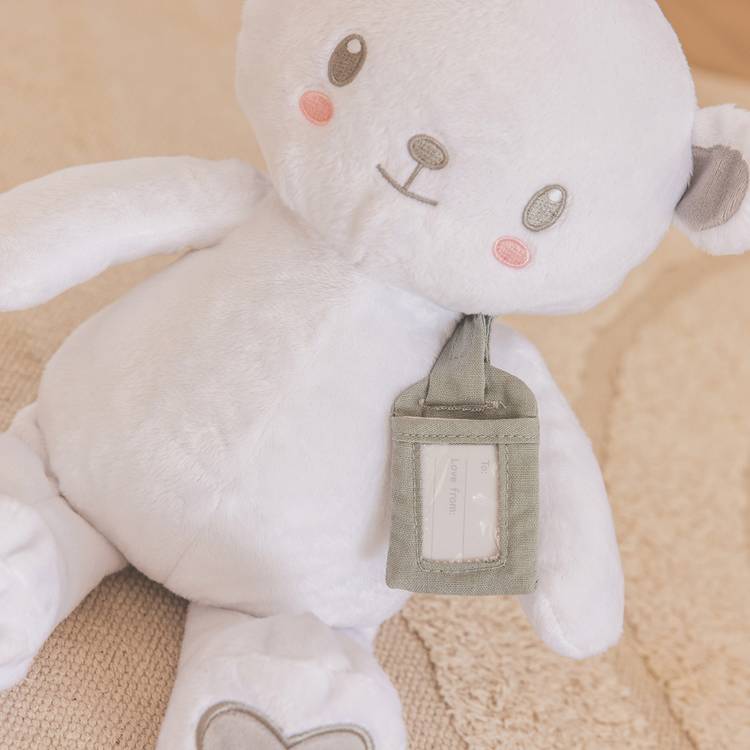 Our Little World My First Teddy soft toy 23cm (British brand)