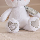Our Little World My First Teddy soft toy 23cm (British brand)