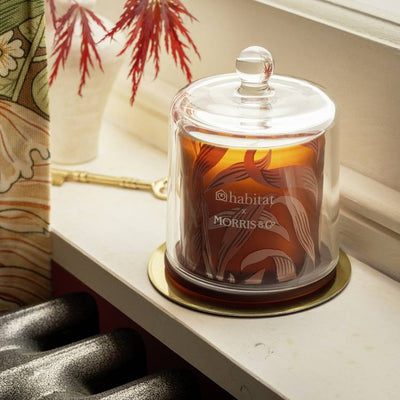 Argos Habitat x Morris & Co. Small Candle - Oak & Fallen Acorn Scented Candle 9cm x 9cm x 9.5cm- Buy online at McGrocer