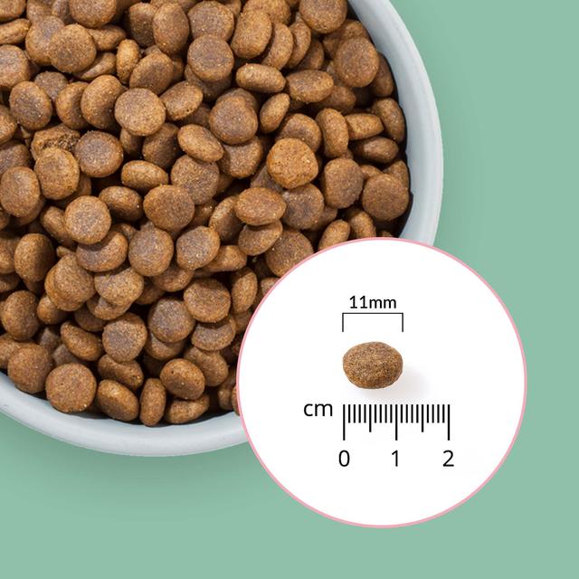 Percuro Insect Protein Puppy Large Breeds Dry Dog Food   2kg GOODS M&S   